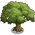 Oak Tree 2-icon