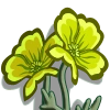 Yellow Poppies-icon