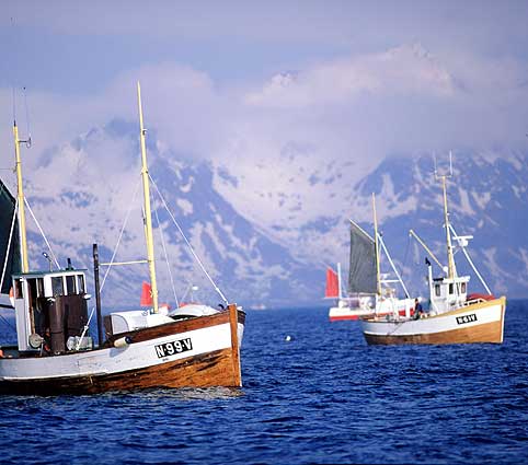 List of norway dating sites
