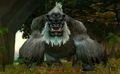 King Mukla.jpg