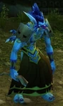 Skullsplitter Spiritchaser