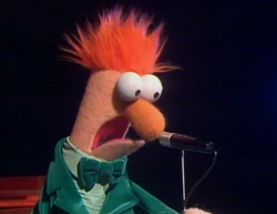 424-15.jpg