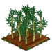 Bamboo 100