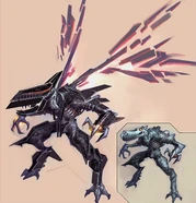 O ridley
