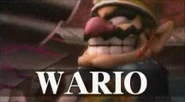 Subspace wario