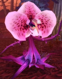 Mutated Tangler