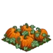 Super Pumpkins 100