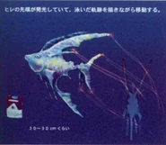 Early X Fish