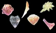 Crystals all copy