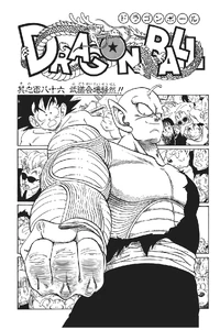 Panic at the Tenkaichi Budokai