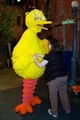 Thumbnail for version as of 00:21, April 27, 2010