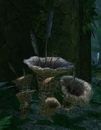 Unknownplant2