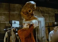 Fishhead.jpg