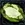 Medium Emerald