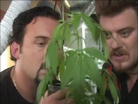 2x04-dope
