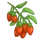 Goji Berry-icon