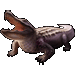 Alligator