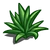 Agave-icon