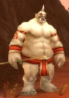 Dustbelcher Shaman