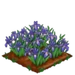 Iris extra100