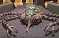 Cytoplasmic Lifeform