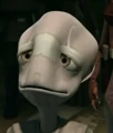 YounglingB.jpg