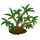 Sprouting Bush-icon