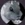 Grey Rabbit pet