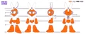 03-CutMan-Specs