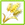 Golden Wheat Grain