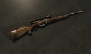 HuntingRifleAllMods