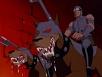 DogCavalry