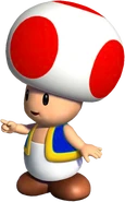 Toad NSMBDIY