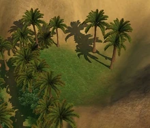 Small Oasis