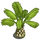 Short Palms-icon