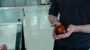 Edward-apple