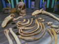 Hogans Überreste.jpg