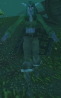 Image of Shade of Elura