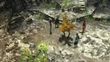 Chocoboknights