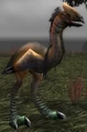Foreststrider Fledgling.jpg