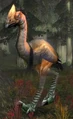 Giant Foreststrider.jpg