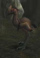 Foreststrider.jpg