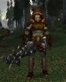 Winterskorn Hunter.jpg