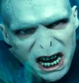 Voldemort95.jpg