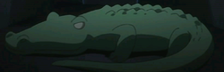 http://images2.wikia.nocookie.net/__cb20100510110859/reborn/images/thumb/8/80/Croc.png/250px-Croc.png