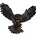 Great Gray Owl