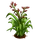 Flax Plant-icon