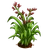 Flax Plant-icon
