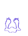 Pdthdf