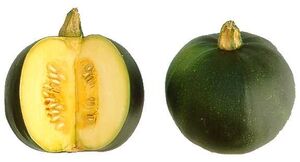 300px-Gem_squash.jpg